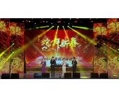 蛇舞新春 —2013年南航迎春晚會